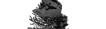 CG - Modeling Focus