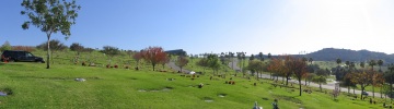 Photos - panos